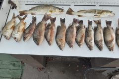 20210821_184635-scaled