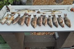 20210821_184638-scaled