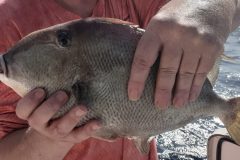 20210822_102529-scaled