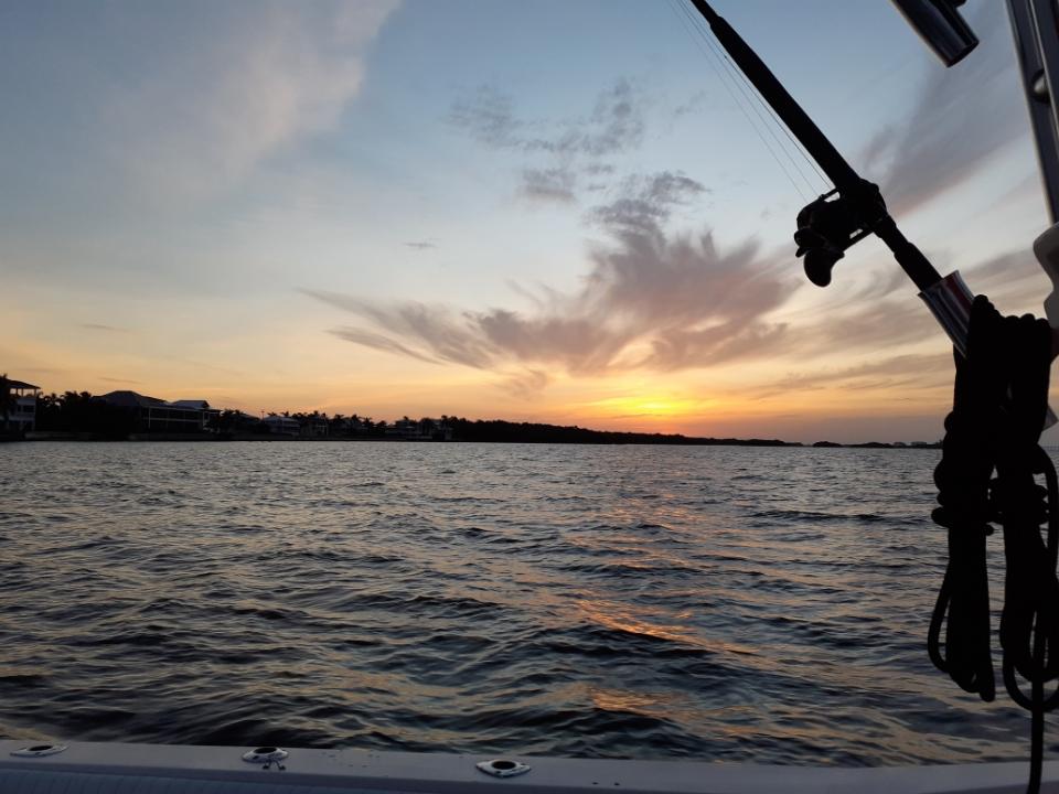 God’s Creation on Display in Southwest Florida
