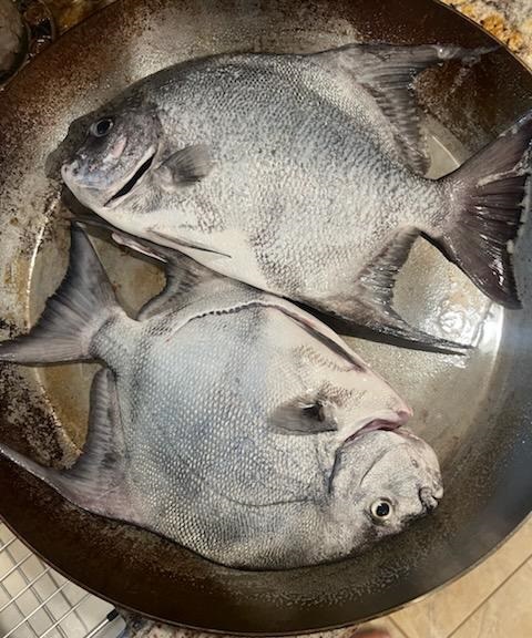United States Fishing Report Resources